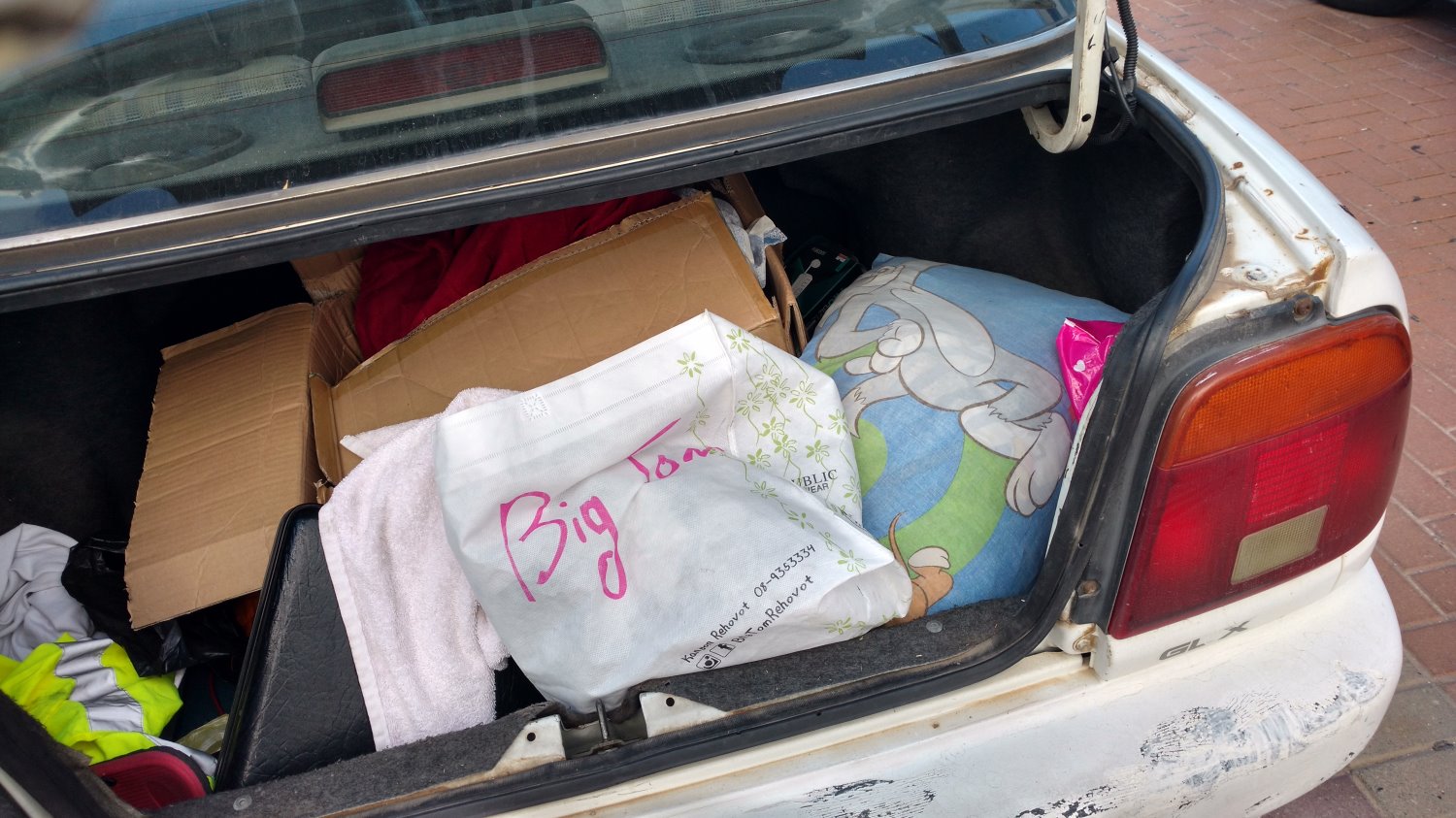 כל רכושו של רותם