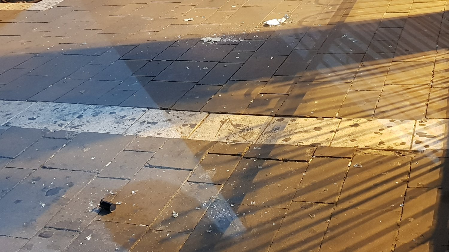 צילום: עופר אשטוקר - אשדוד נט