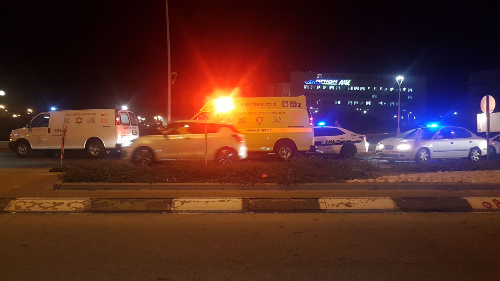 צילום: אלי דדון