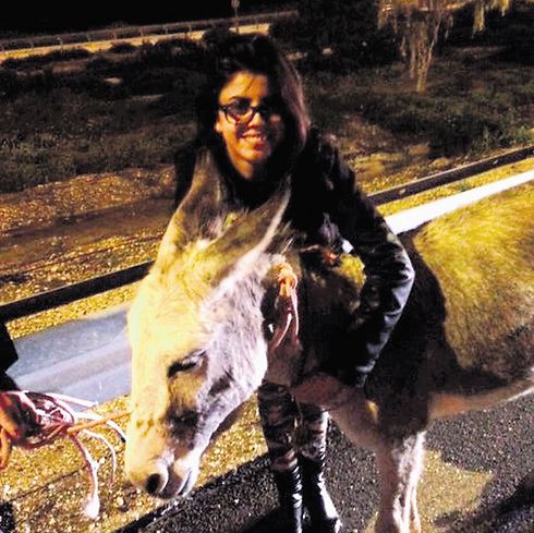 תמונה ללא תיאור