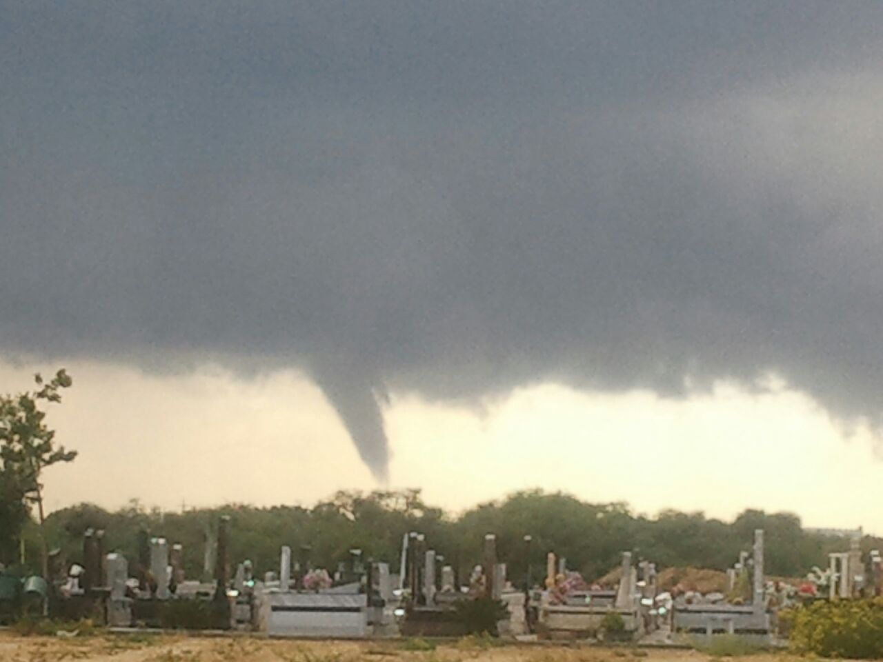 צילום: אברהם פורגס