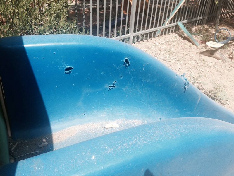 צילום: שמואל דוד