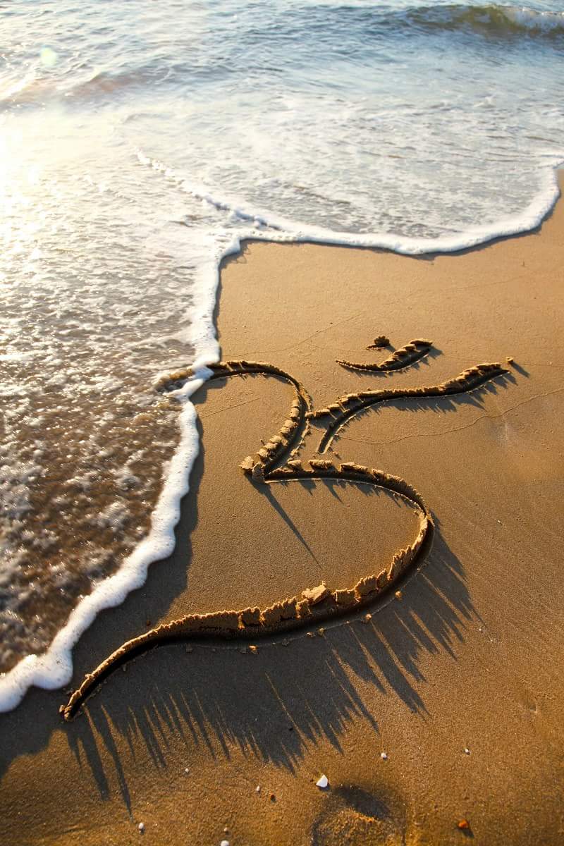 תמונה ללא תיאור