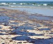 אסון אקולוגי: גושי זפת טרייה נמצאו בחופי אשדוד וניצנים