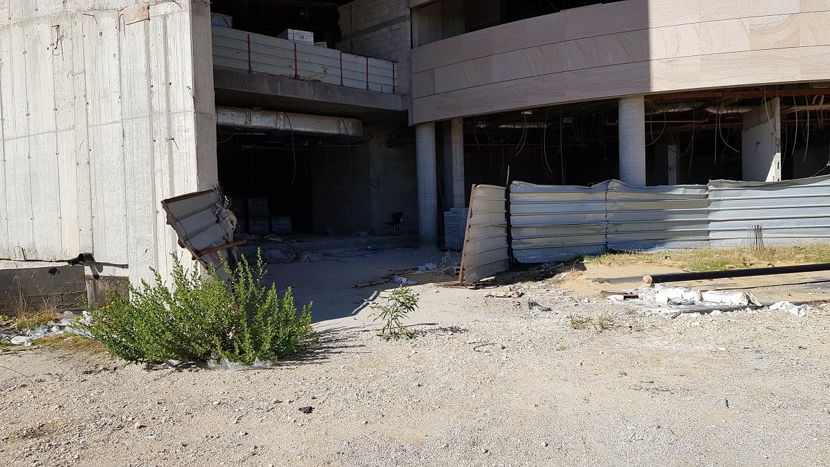 צילום: עופר אשטוקר