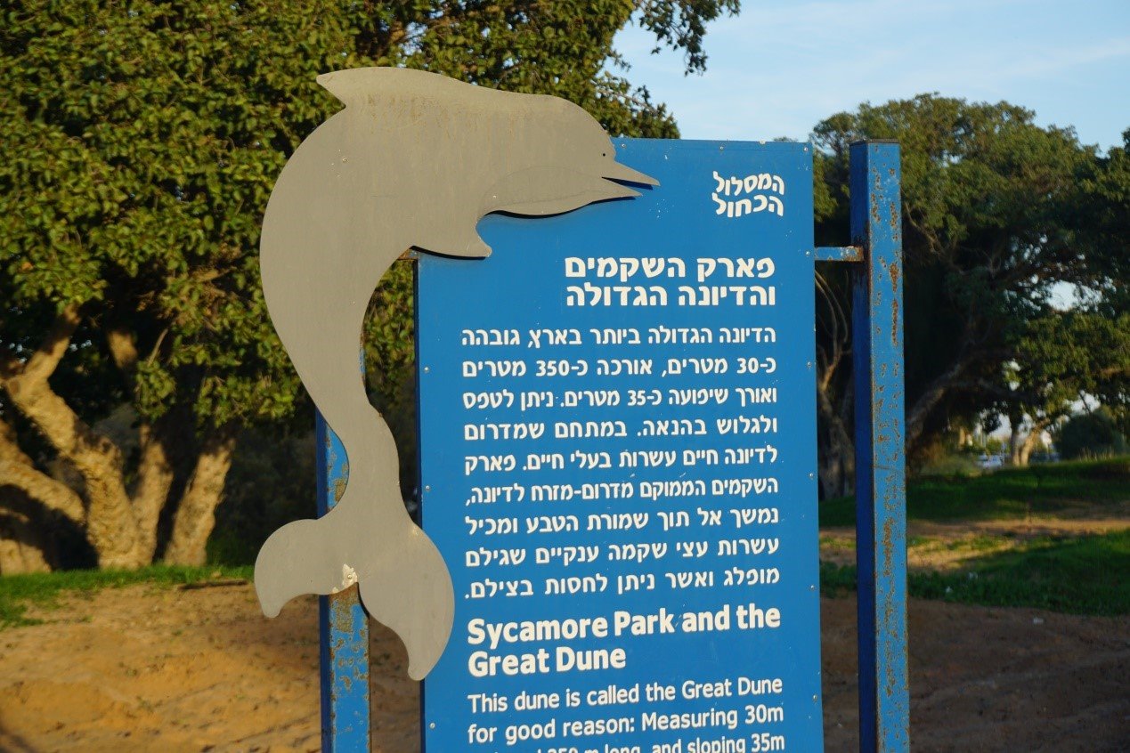 גיל אהרוני