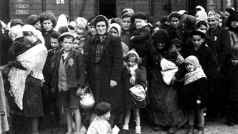 יהודים מהונגריה לאחר ההגעה לאושוויץ 1944 (צילום: Ernst Hofmann or Bernhard Walte/ wikimedia)