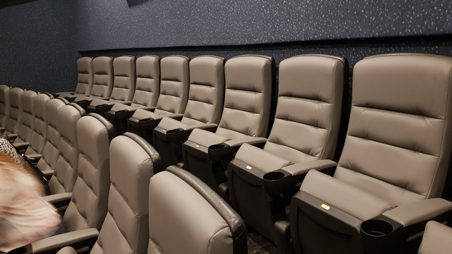 צילום: אשדוד נט