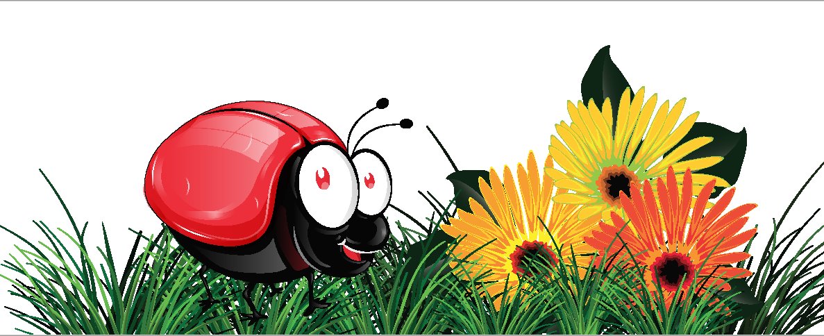 החיפושית שנולדה בלי נקודות | יח"צ