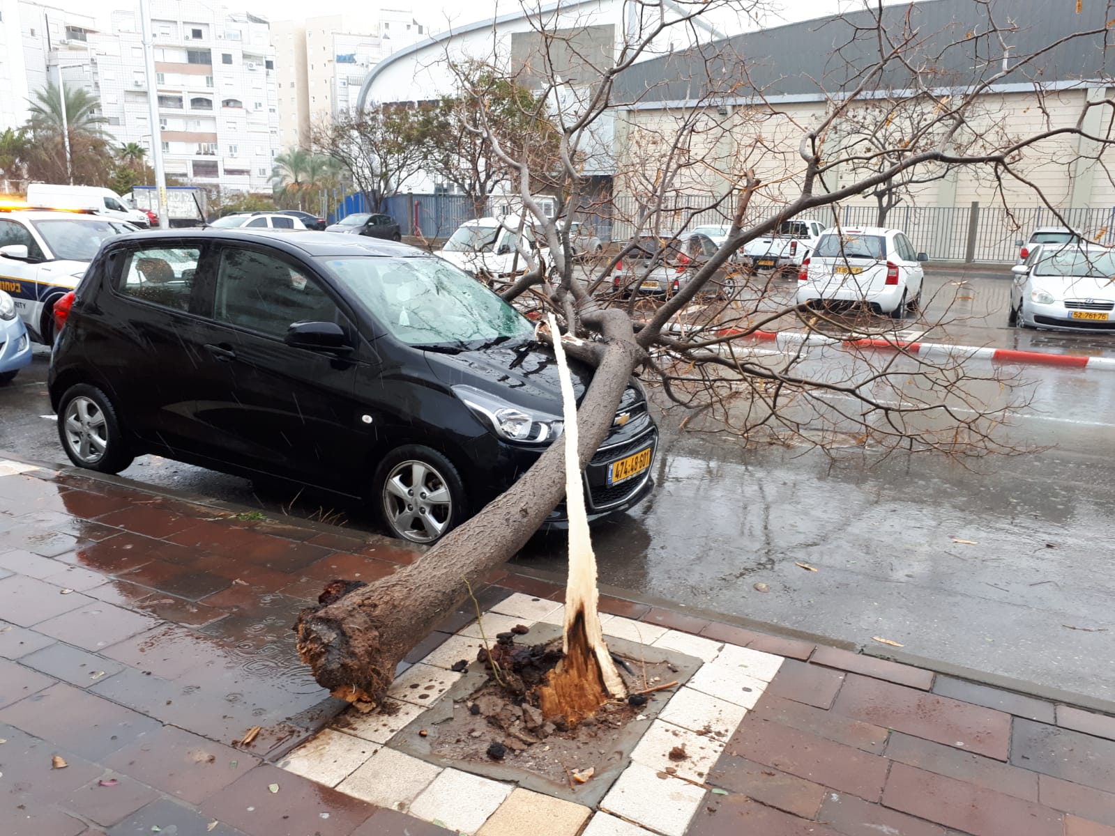 קרדיט: כאן דרום