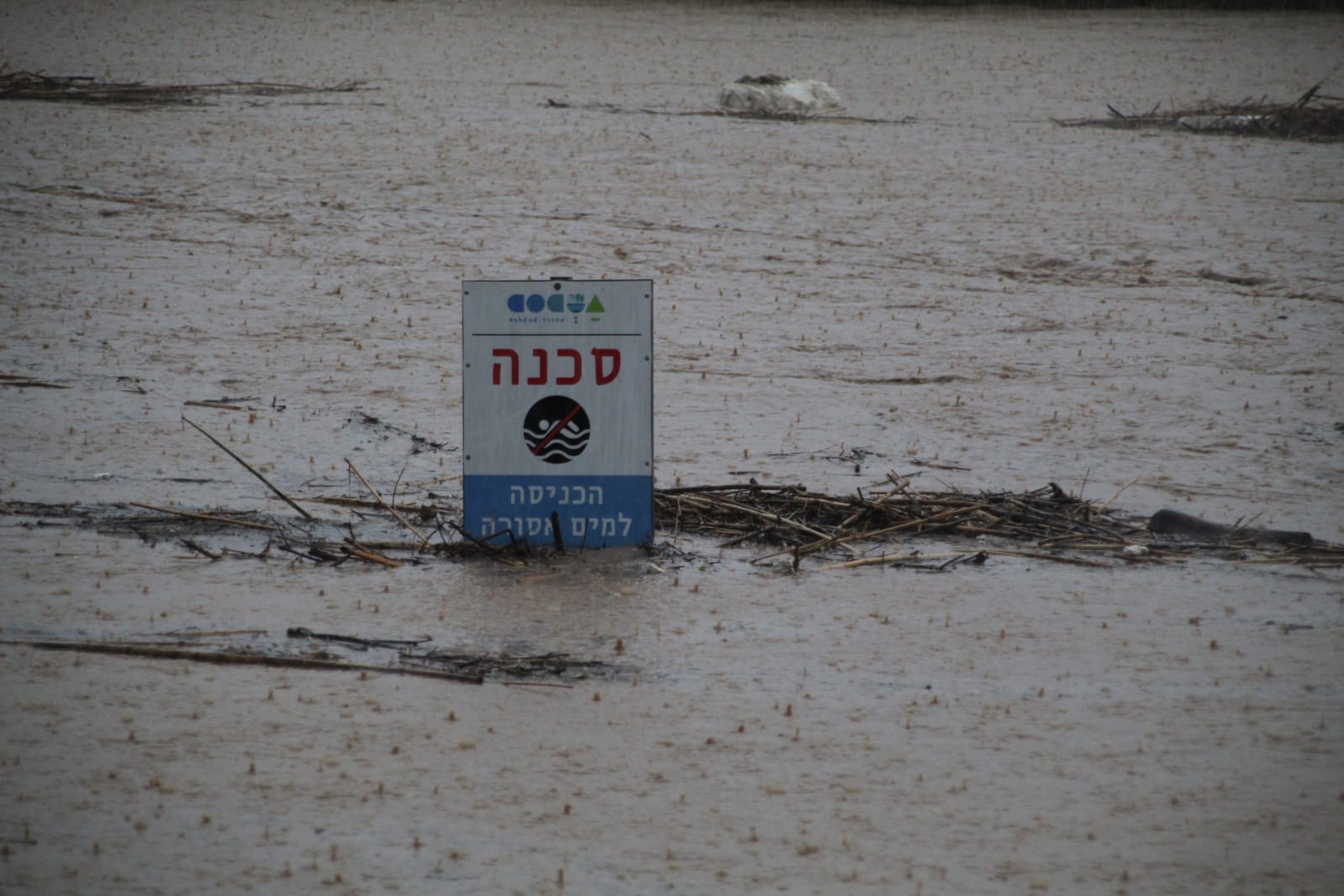 צילום: שמואל סרדינס, אשדוד נט