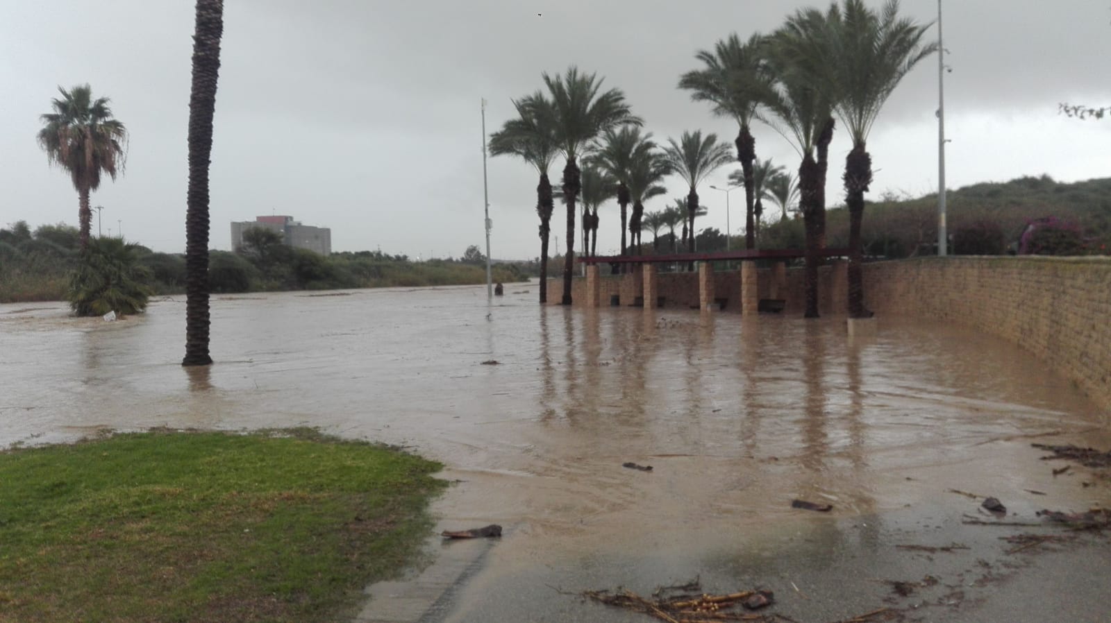 צילום: שמואל סרדינס, אשדוד נט