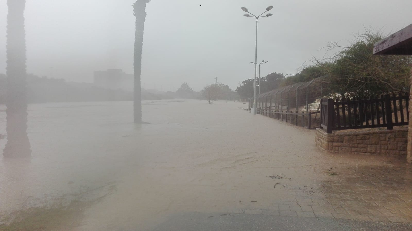 צילום: שמואל סרדינס, אשדוד נט