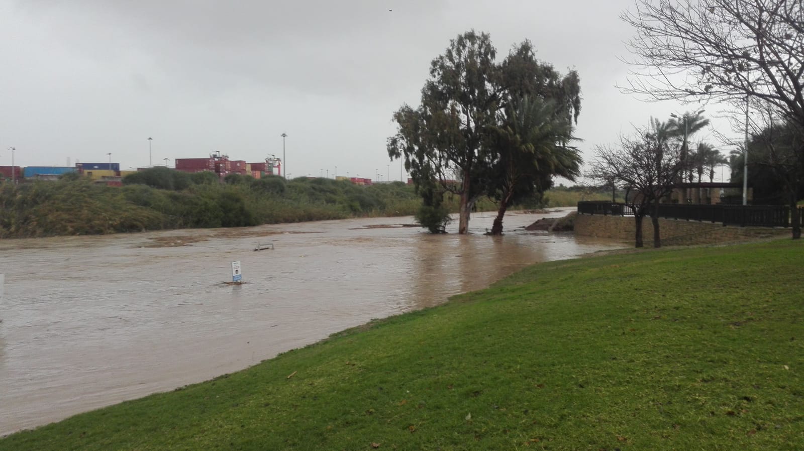 צילום: שמואל סרדינס, אשדוד נט