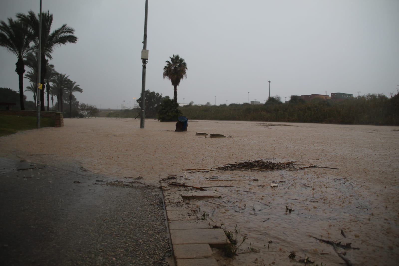 צילום: שמואל סרדינס, אשדוד נט