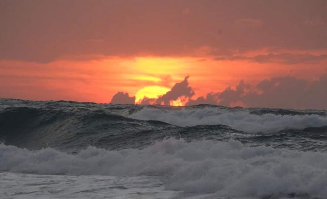 צילום אלברט תורגמן