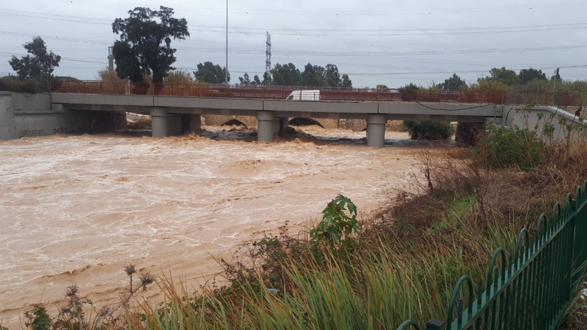 צילום: יחיאל ברוינר