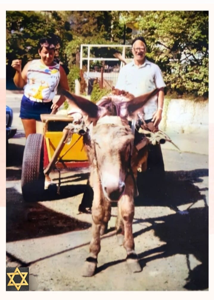 אלפסי והחמור האהוב