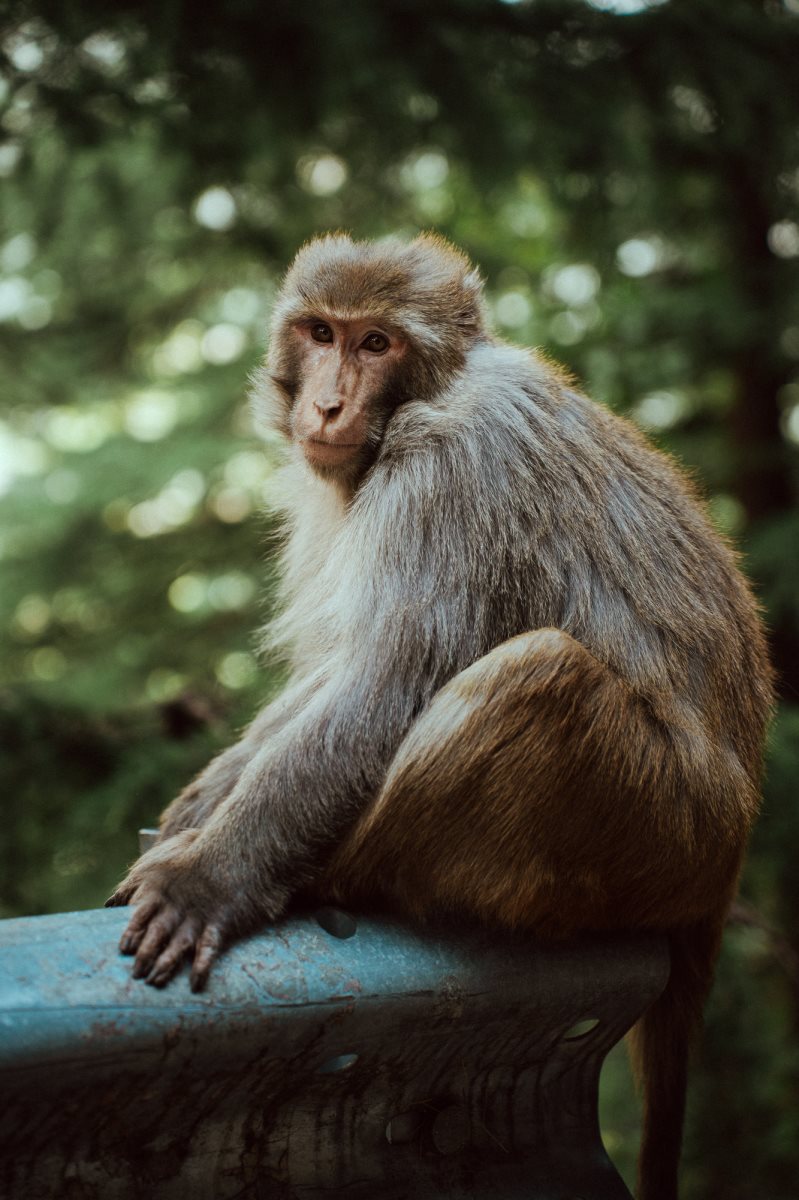 צילום: יובל אליאס