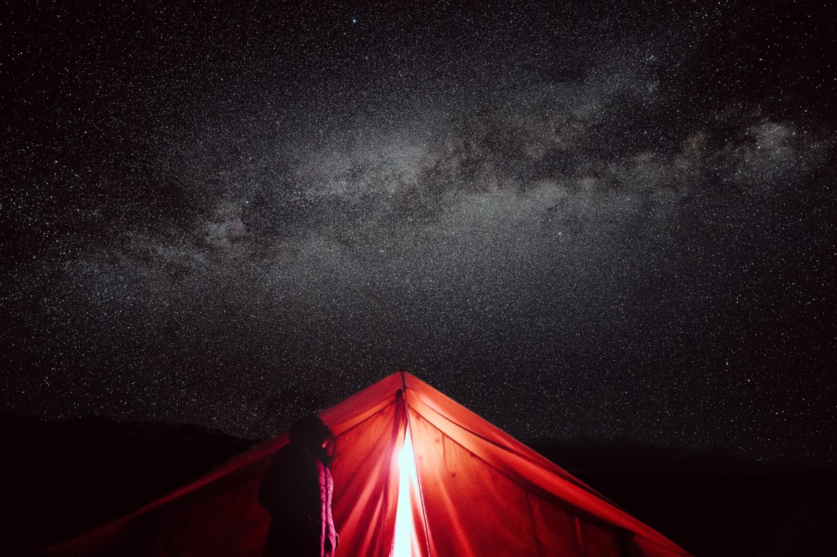 צילום: יובל אליאס