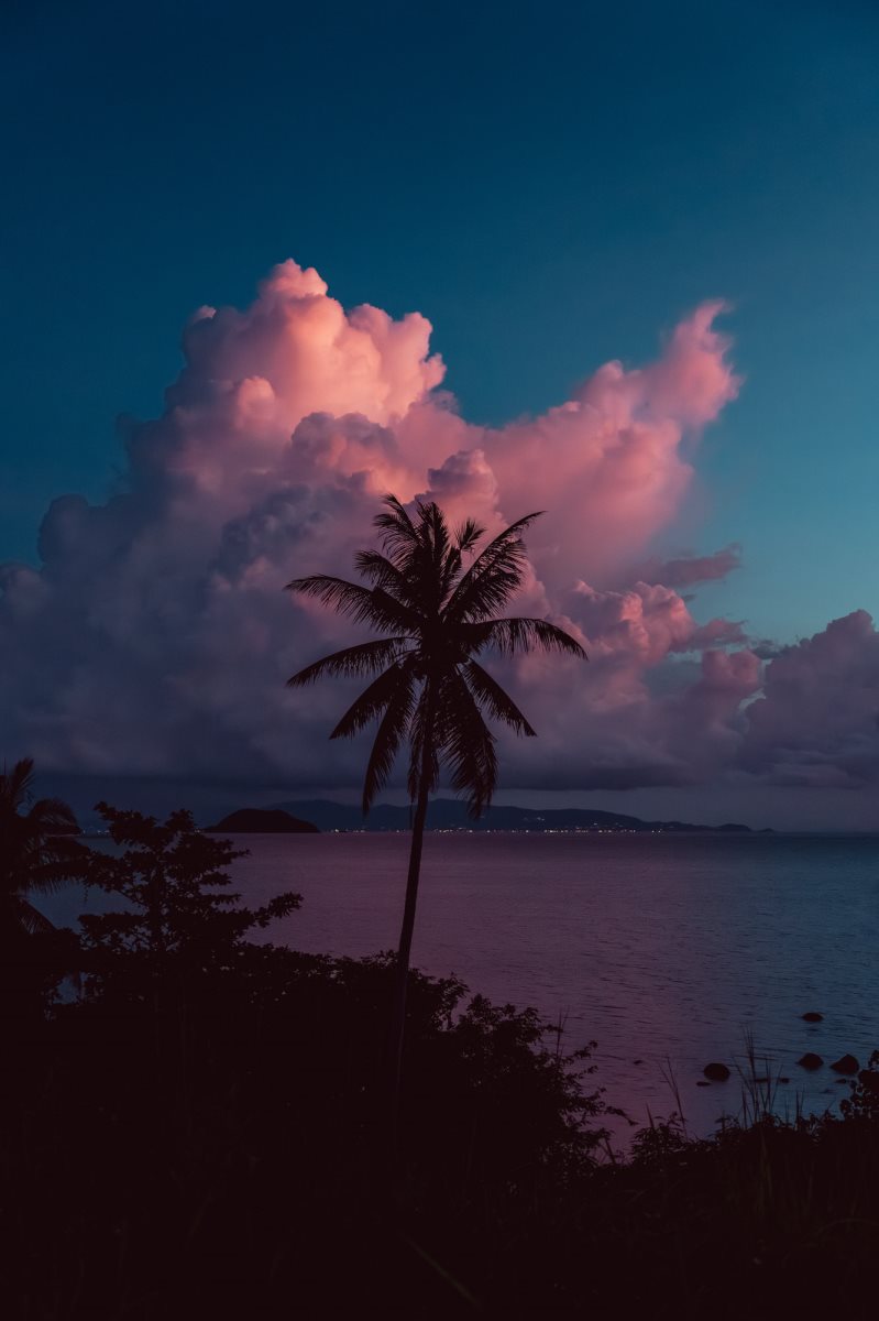 צילום: יובל אליאס