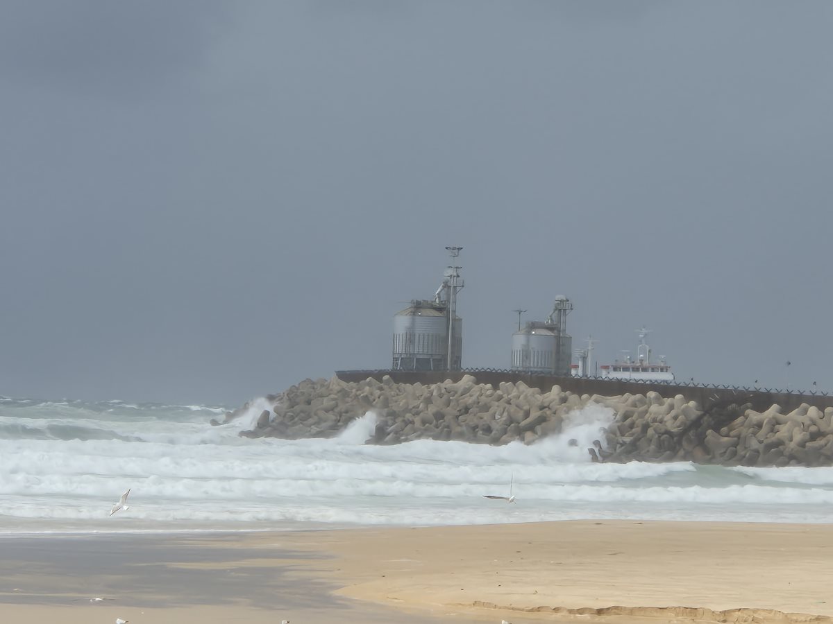 צילום אלדה נתנאל