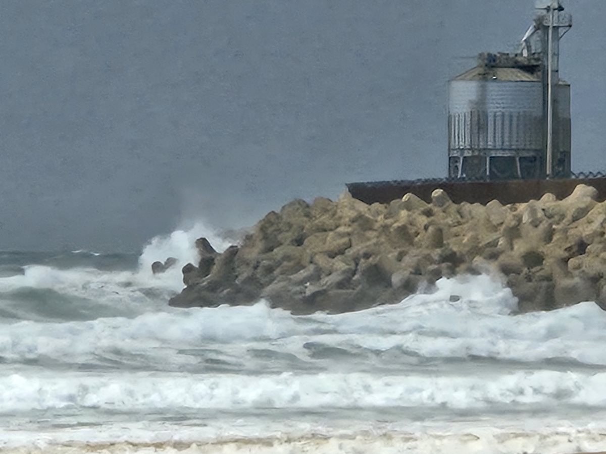 צילום אלדה נתנאל