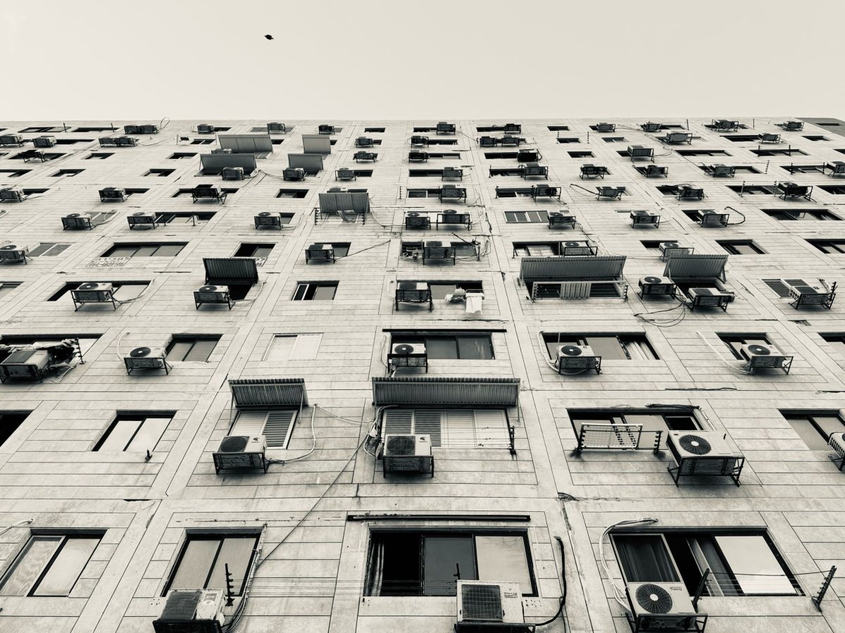 חן אופיר כהן