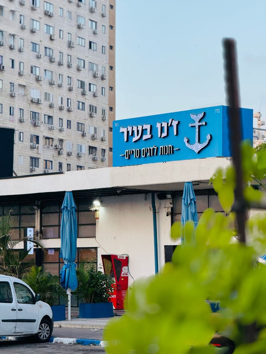 חן אופיר כהן