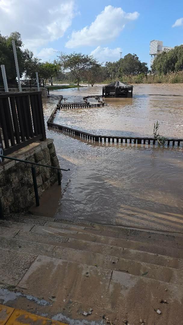 צילום ירון אופיר