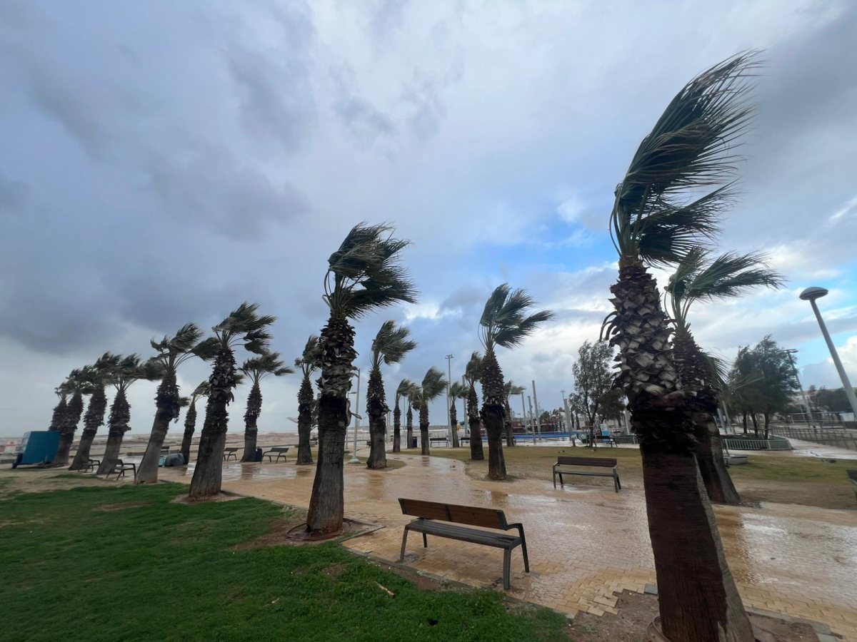 צילום אורי קריספין