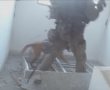 כלבי יחידת עוקץ נמצאים בחזית הלחימה בעזה - צפו בוידאו