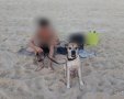 הכלב שעל פי החשד נשך אדם בחוף