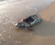 ביום שישי הקרוב: שחרור 3 צבים שעברו שיקום חזרה לים