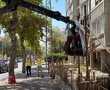 הגיע הזמן: עיריית אשדוד יוצאת למבצע להסרת שלטים ישנים ברחבי העיר